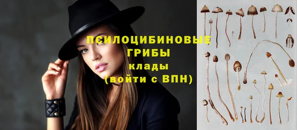 мескалин Баксан