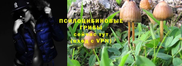 мяу мяу мука Балабаново