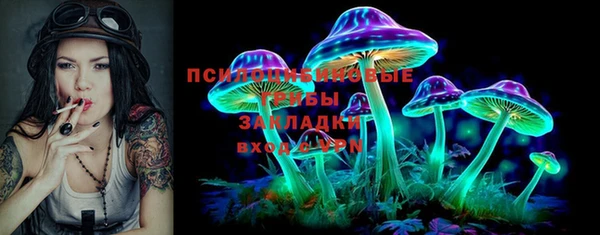 соль ск Балахна